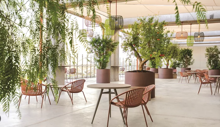 urban-roof-garden